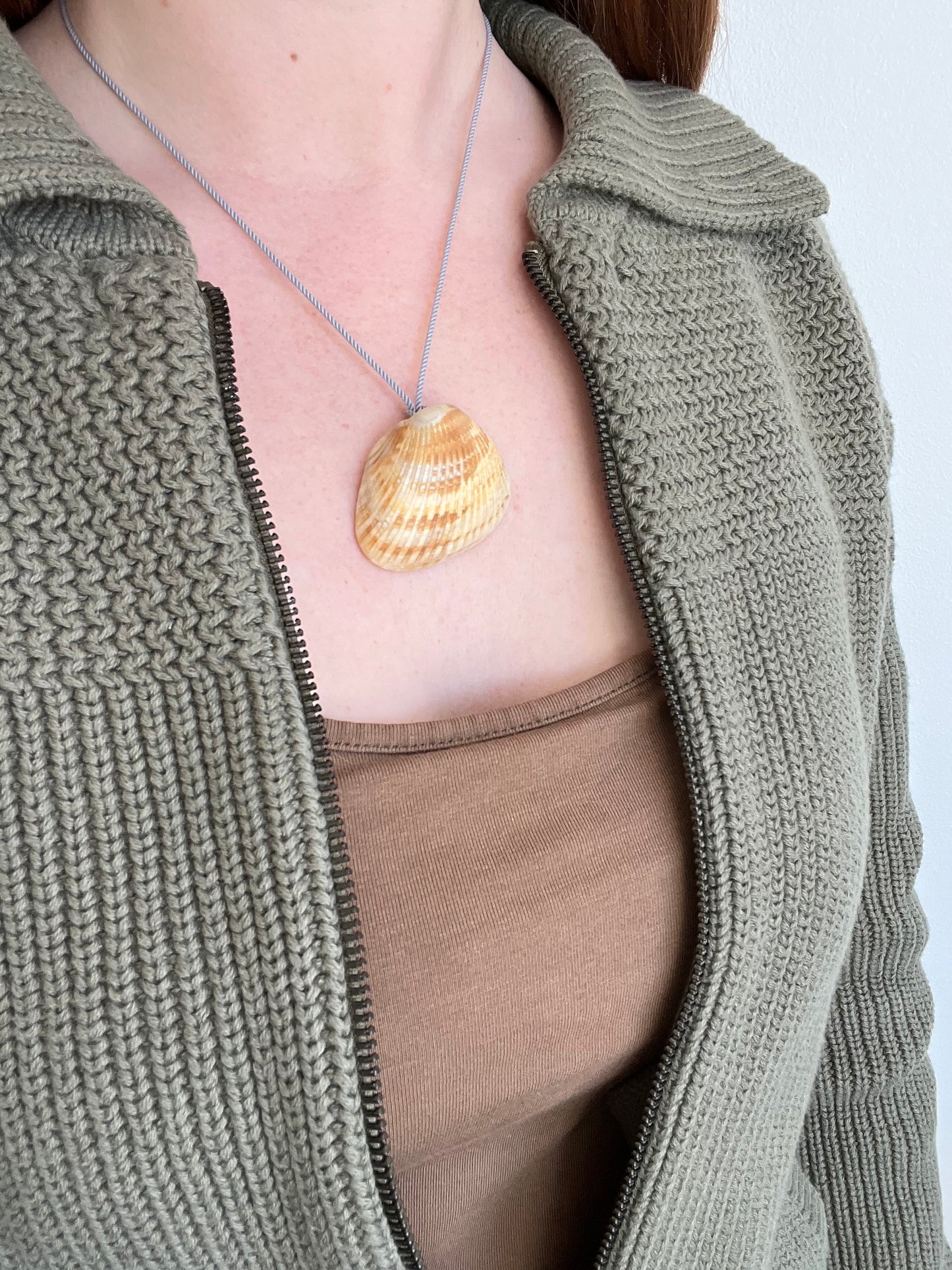 Seashell
