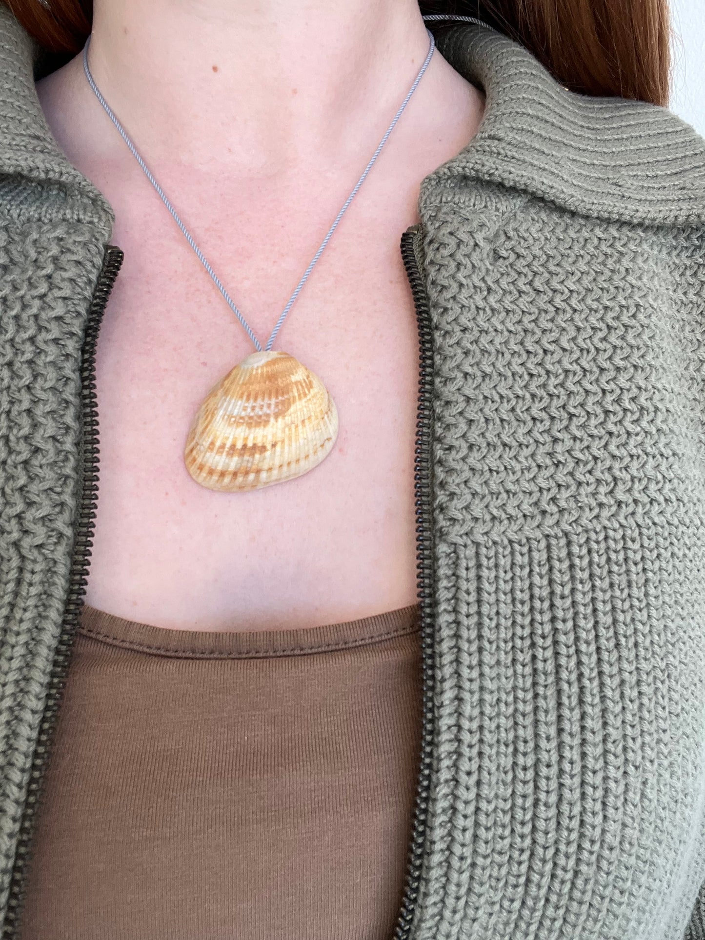 Seashell