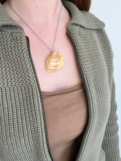 Seashell