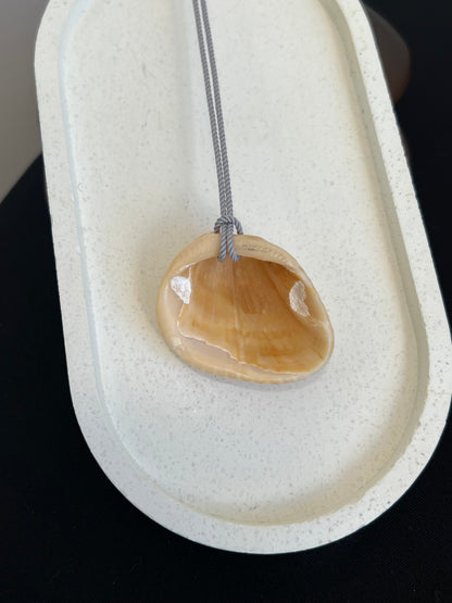 Seashell