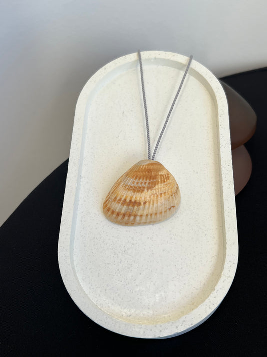 Seashell